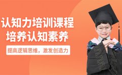 博沃思未来深圳有没有推荐的认知力培训机构？